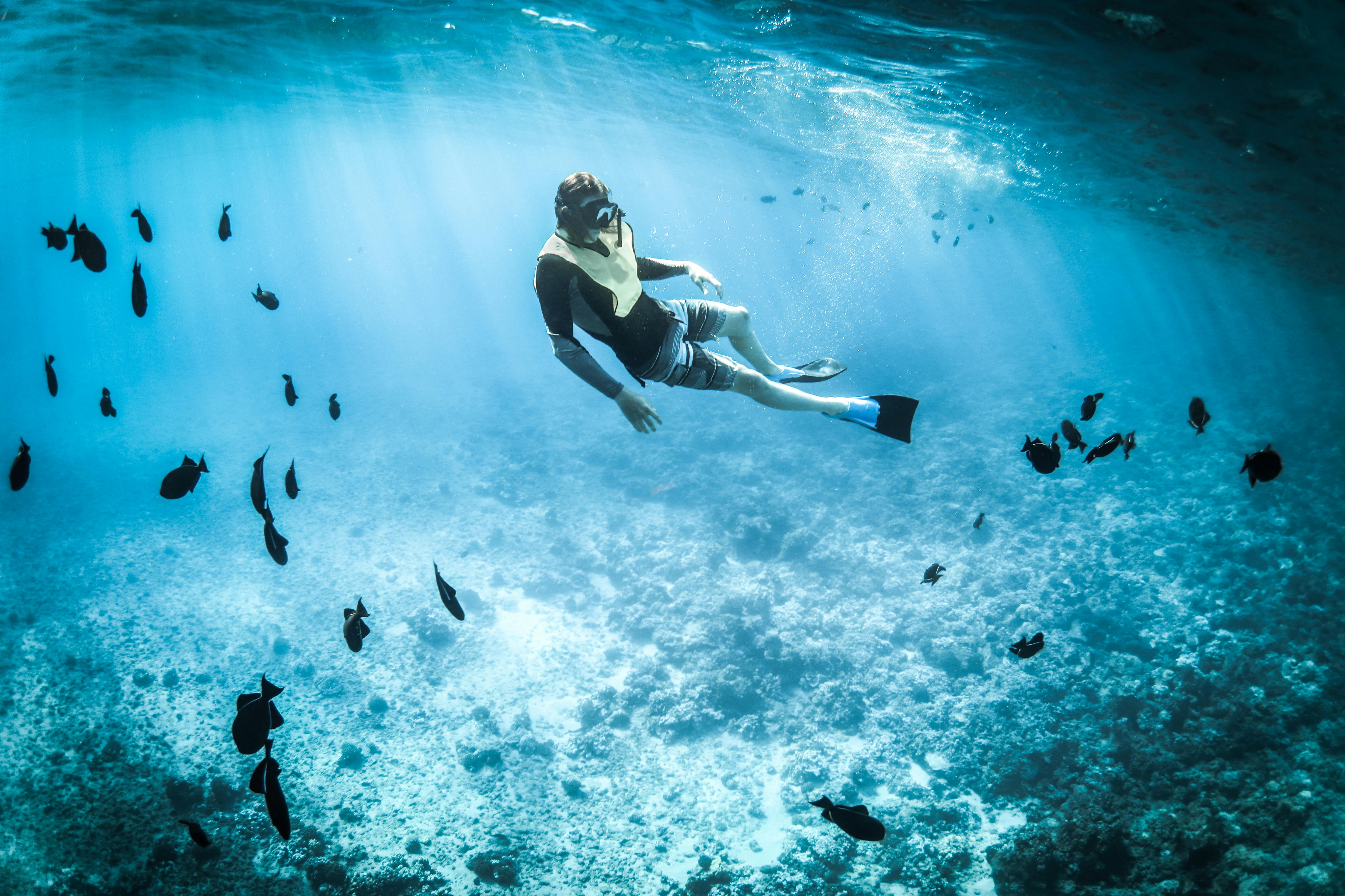 Chasse sous-marine en mer